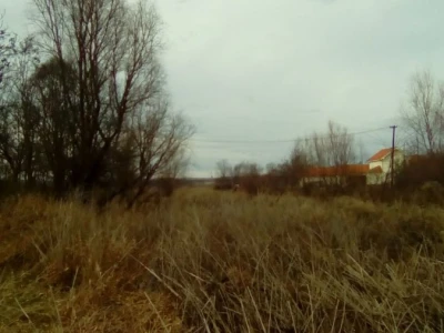 Prodaja trske