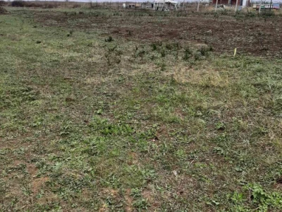 Prodaje se plac 10 ari opstina Čukarica, mesto Velika Moštanica