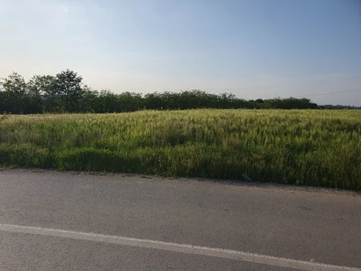 Prodajem plac 101 ar u Velikoj Moštanici opština Čukarica 15min od Beograda