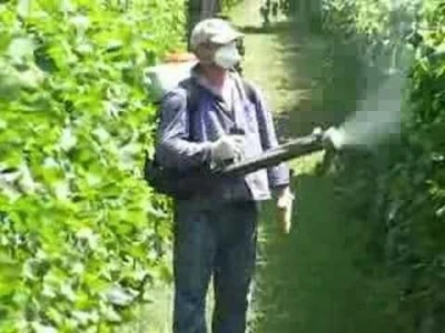 Profesionalno orezivanje i zaštita vinove loze, voća i ruža, obaranje debelih stabala i šišanje živih ograda povoljno!