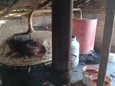 Rakija od sljive