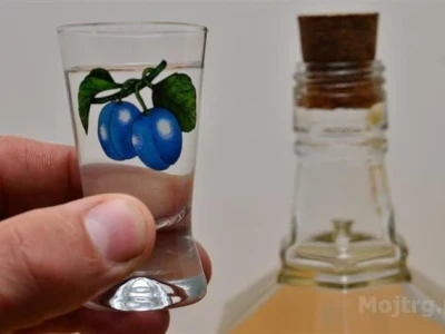 RAKIJA ŠLJIVOVICA