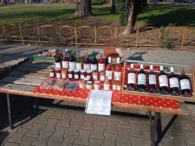 Likeri i vina