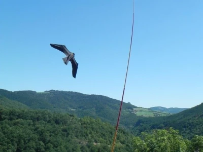 Scarybird - Čuvar vaših useva i plodova