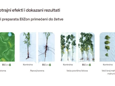 EliZon - Soja
