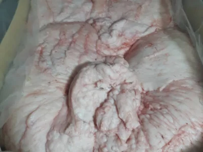 Sheep Lamb Tail Fat