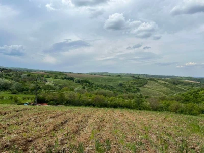 Sremski Karlovci, Banstol, Dobrilovac 500m2
