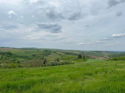 Sremski Karlovci, Banstol, Dobrilovac 500m2