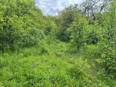 Sremski Karlovci, Banstol, Dobrilovac 500m2