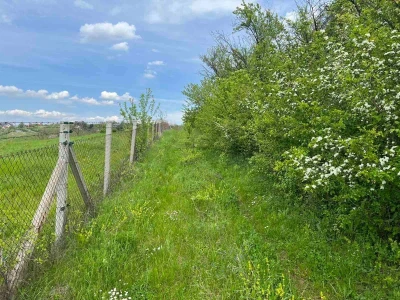 Sremski Karlovci, Banstol, Dobrilovac 500m2