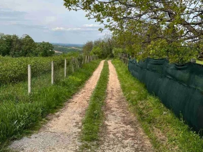 Sremski Karlovci, Banstol, Dobrilovac 500m2