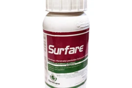 Surfare 1L