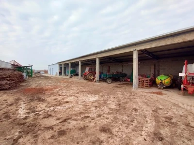 Voćnjak kajsija površine 9,3ha u Pavlovcima, pored Rume!