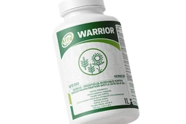 Warrior 1L