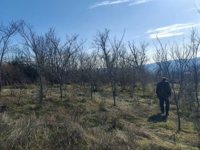 Zemljište Stražilovo-Sremski Karlovci