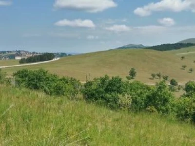 Zlatibor, plac 1120m2 sa građevinskom dozvolom i priključkom za struju!