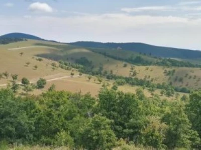 Zlatibor, plac 1120m2 sa građevinskom dozvolom i priključkom za struju!