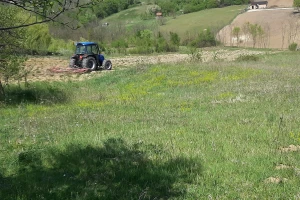 Selo Grabovica