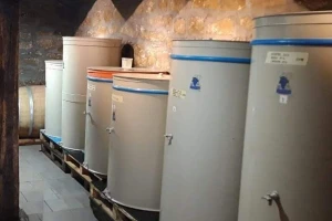 Dušan Dimitrijević od hobija napravio porodičnu vinariju