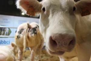 AgriBEX, Brisel poljoprivredna mehanizacija