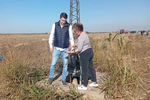 Dragana Padejski, uzgoj kukuruza