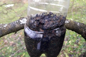 Klopke za insekte