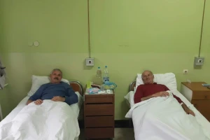 Iskusni pčelar i njegov komšija preživeli ubode 300 pčela