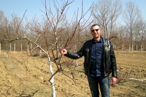 Marjan Manić