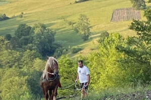 Dragan Simović šparta kukuruz pomoću konjske vuče