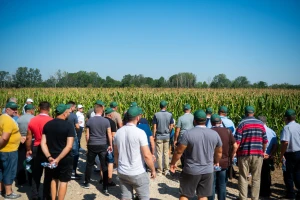 Syngenta Dani polja u Kušiljevu