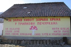 Uzgajanje bukovča