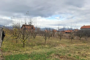 Voćnjak u zimskom periodu