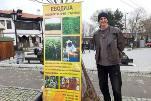 Evodija