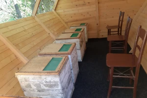 Lečenje apiterapijom