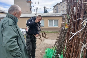 Prodaja voćnih sadnica i loznih kalemova
