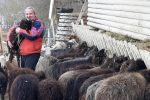 Karakačanski konj, balkanska koza, vitoroga žuja u etno selu "Vila Jefimija"