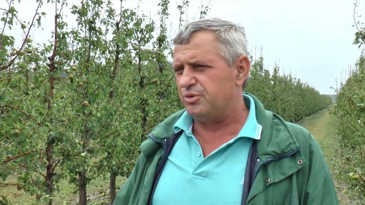 Radoslav Rajčević