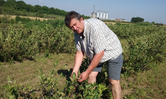 Miroslav Pokimica