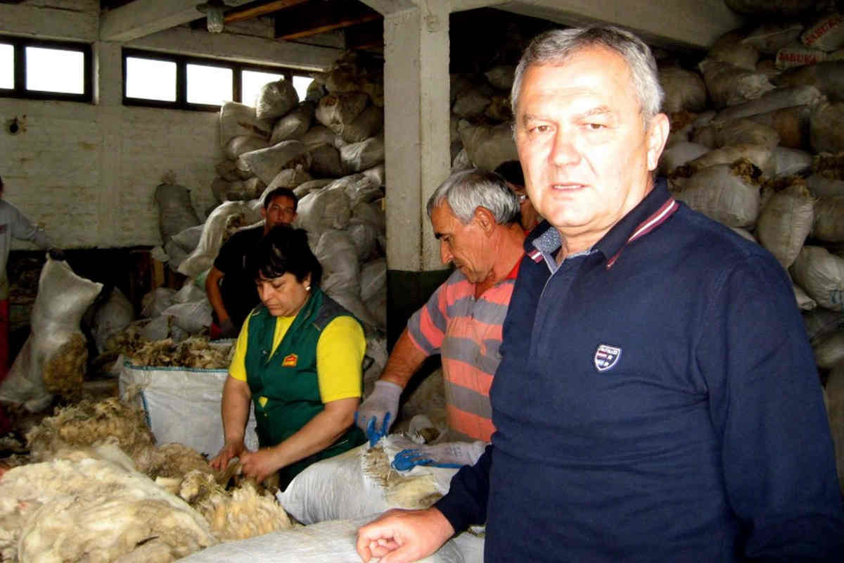 Dragan Zečević