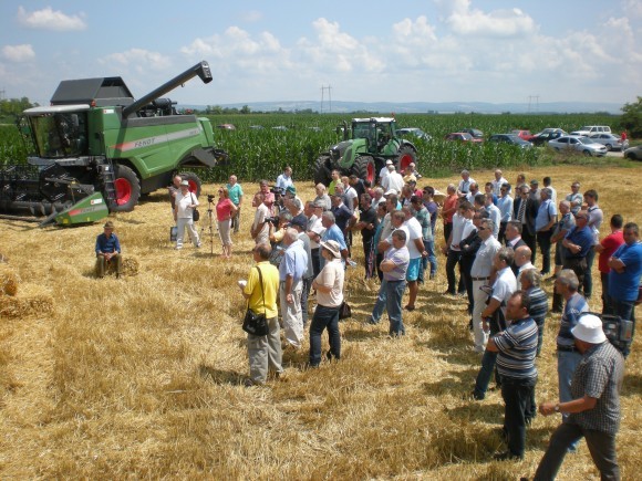 Žetva p&scaron;enice, Kuzmin