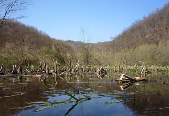 Dulensko jezero