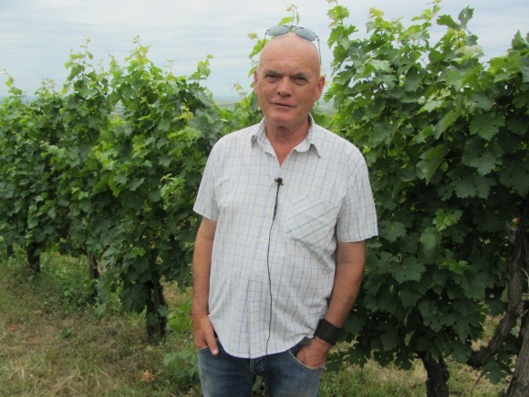 Gvozdanović