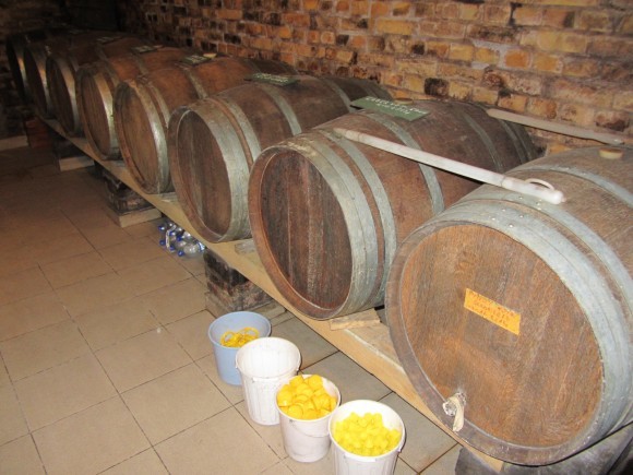 Vinski podrum