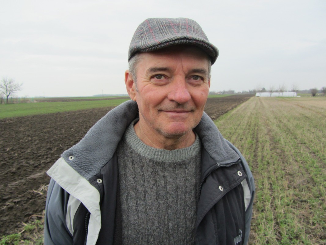 Žiga Čuvardić