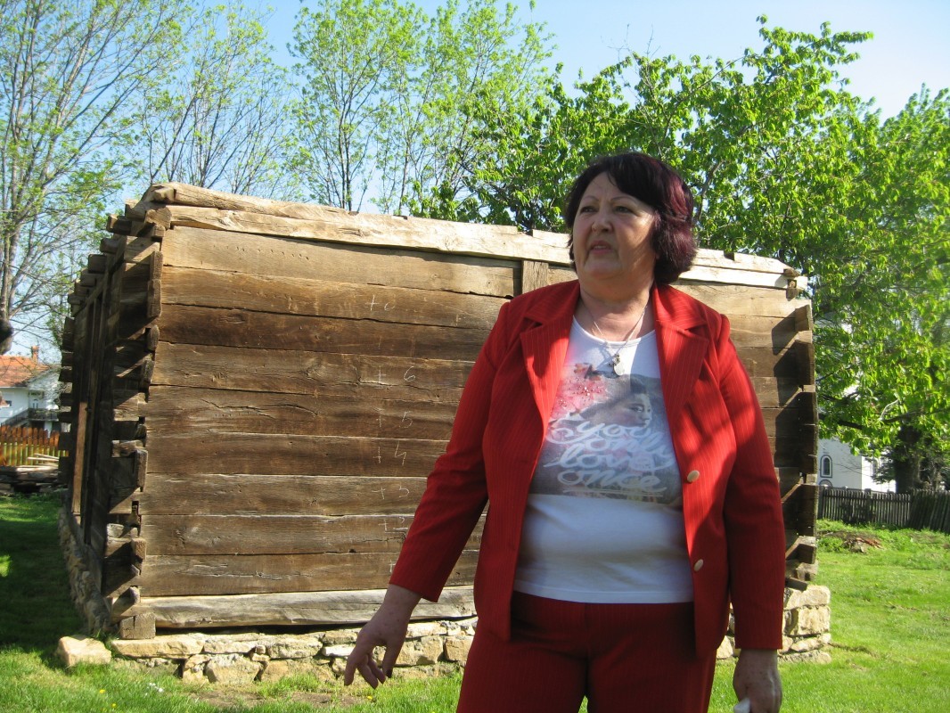 Pomoć dijaspore