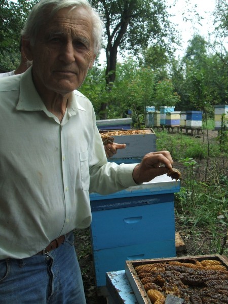 Jano&scaron; Hegedi&scaron;