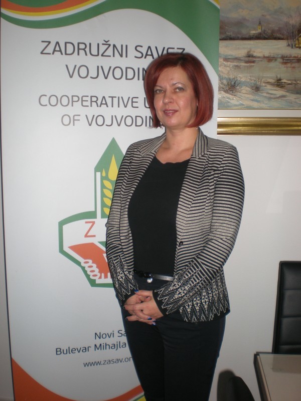 Jelena Nestorov