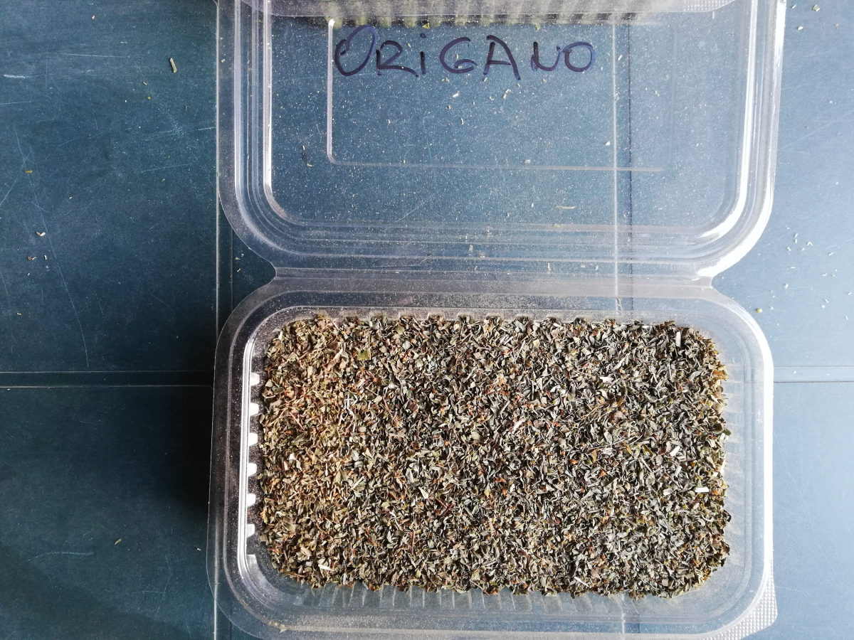 Origano