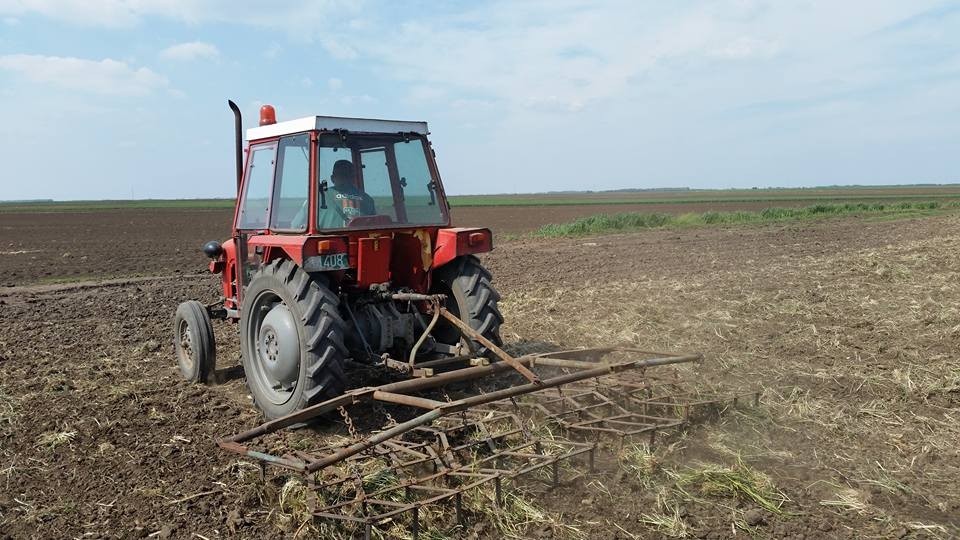 Razbijanje pokorice drljanjem