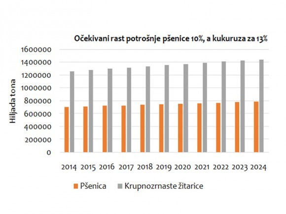 rast potro&scaron;nje p&scaron;enice